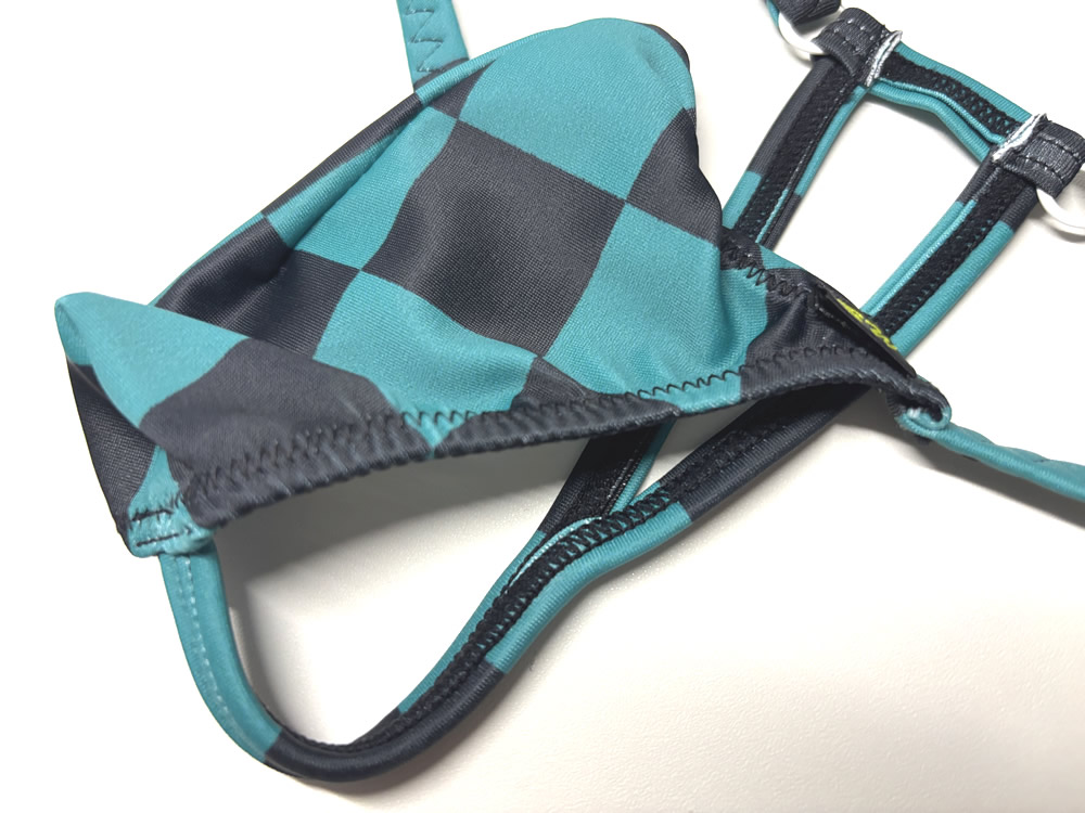 メンズ ビキニ  Tバック 極小下着 BODYWEAR 