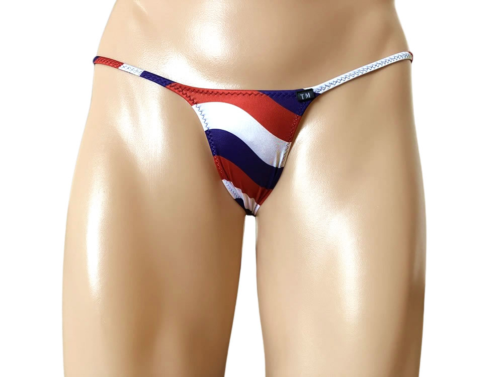 メンズ ビキニ  Tバック 極小下着 TMコレクション 